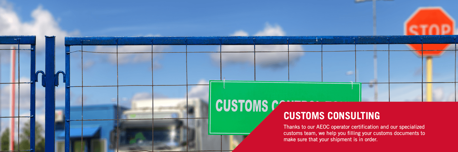 Customs consulting 1